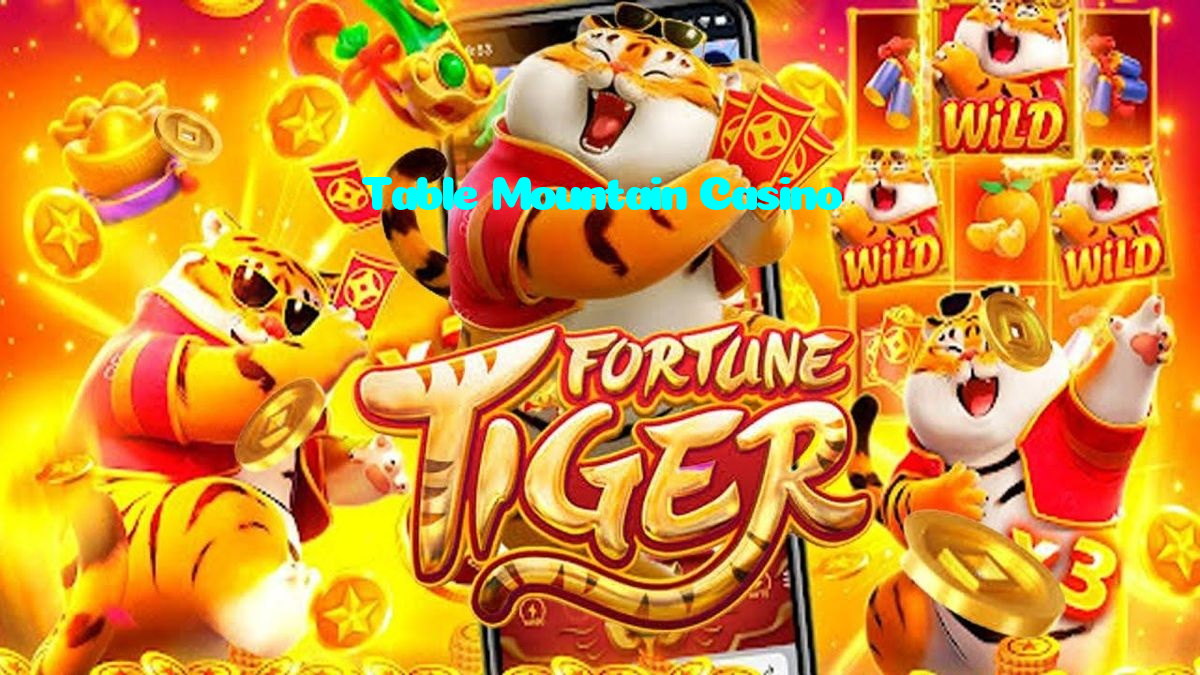 available types of Table Mountain Casino bet including pre-match live express and system bets